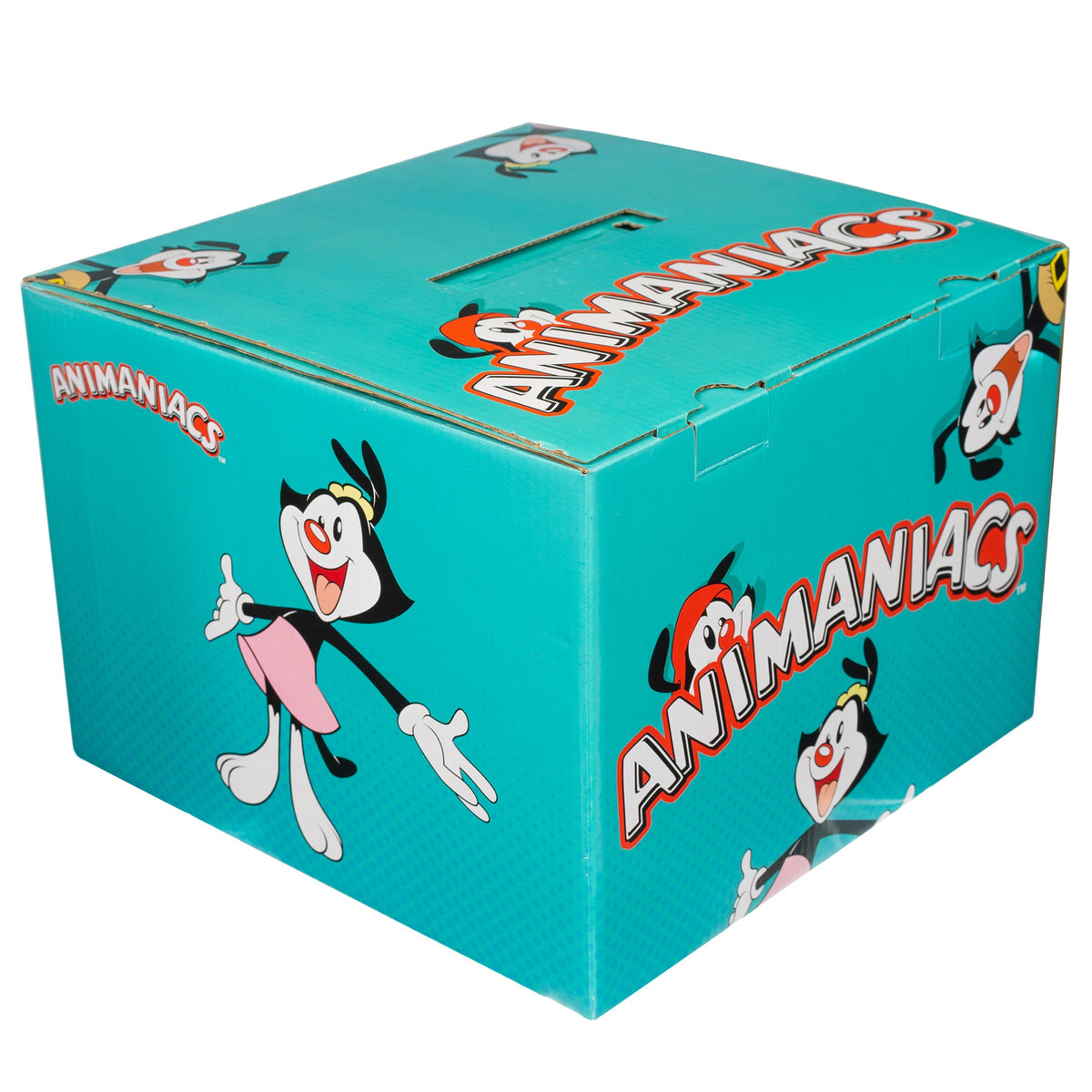 Animaniacs Mystery Box