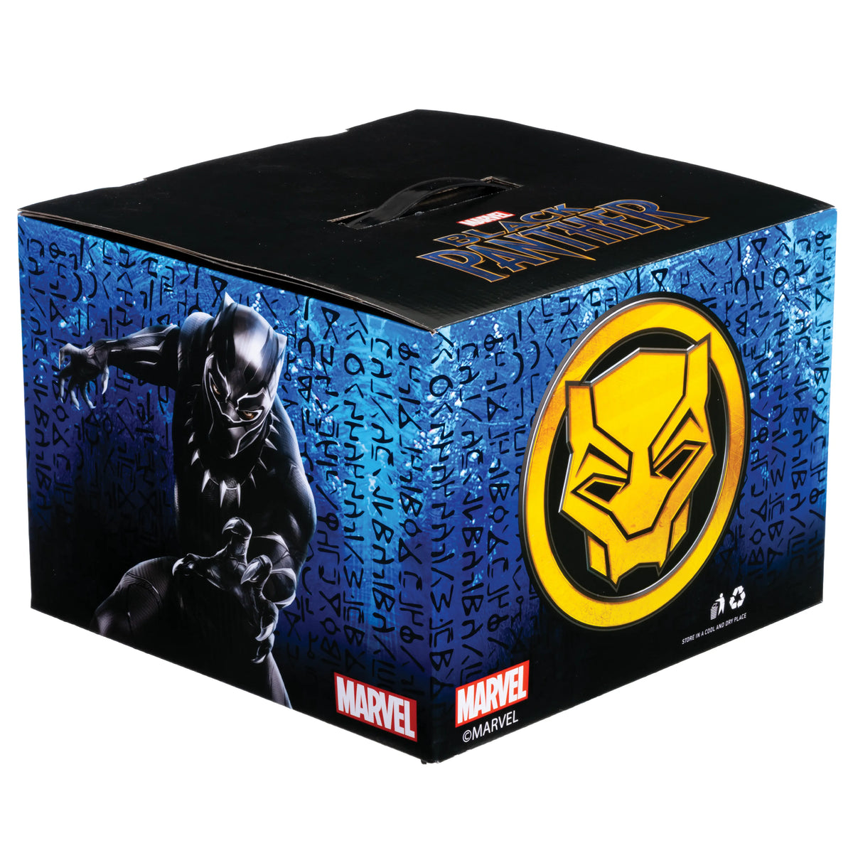 Black Panther Mystery Box