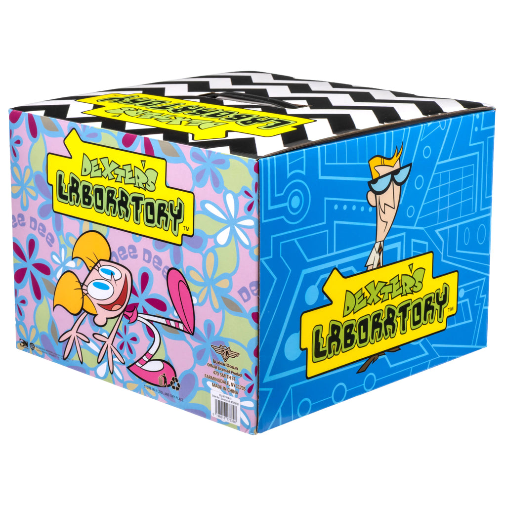 Dexter's Laboratory Mystery Box