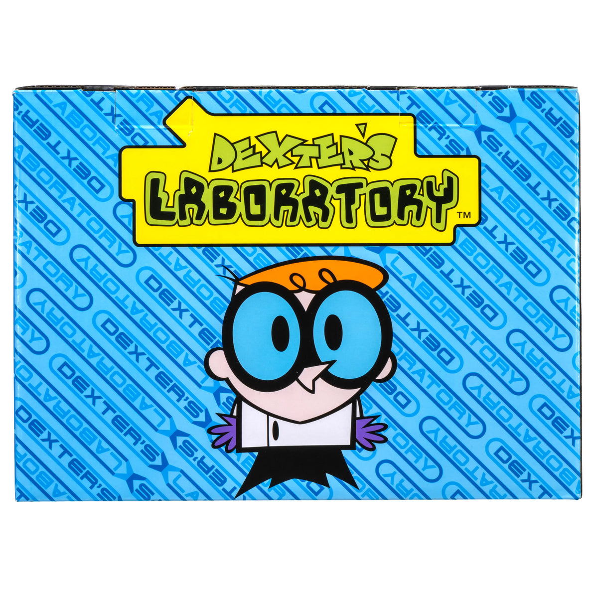 Dexter's Laboratory Mystery Box