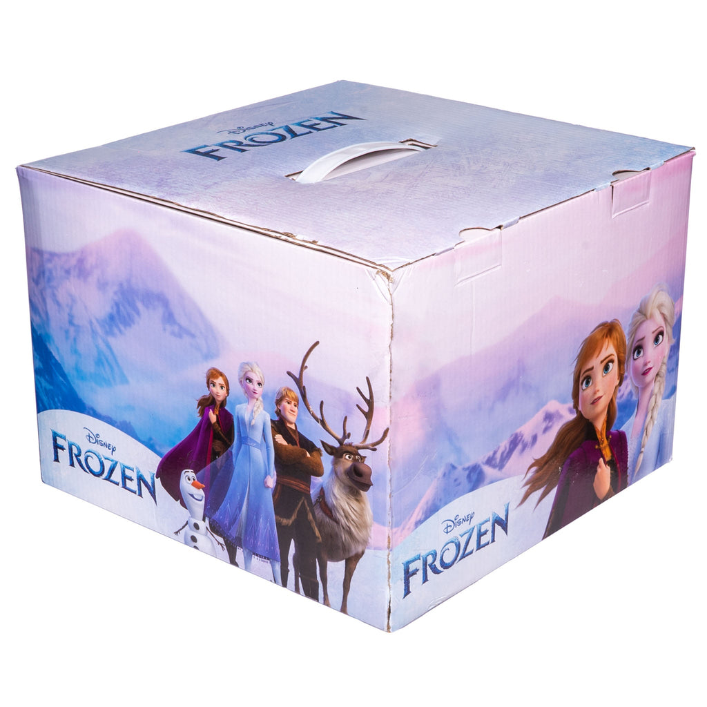 Frozen Mystery Box