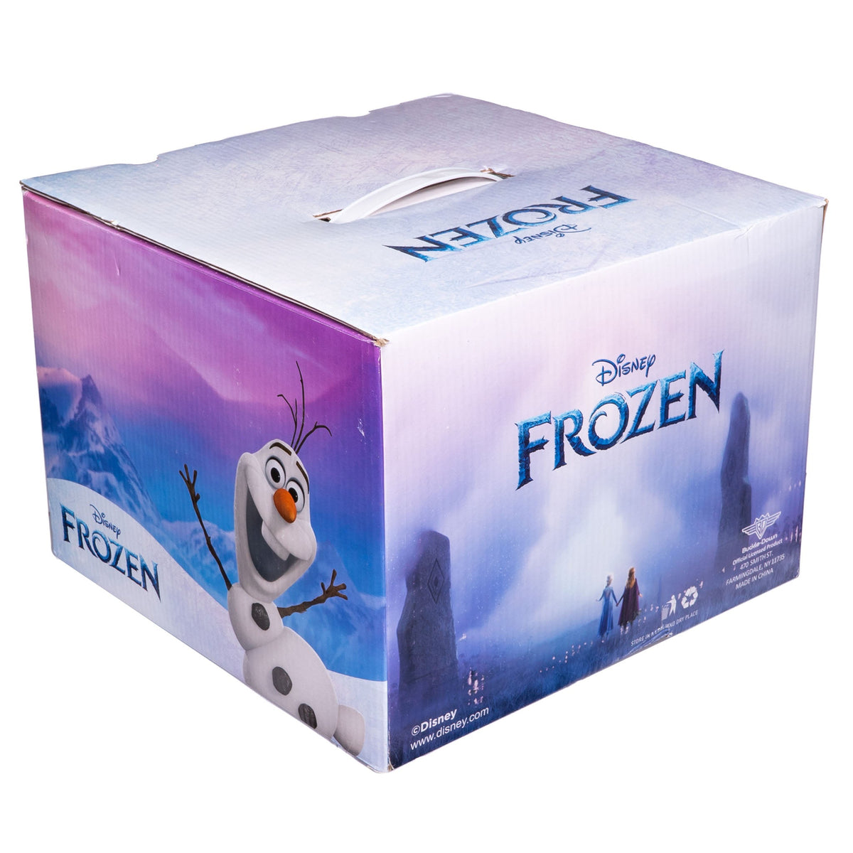 Frozen Mystery Box