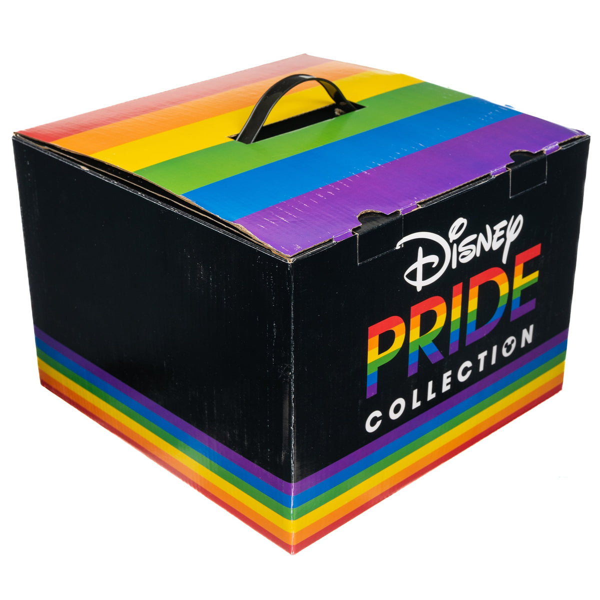 Disney Pride Mystery Box