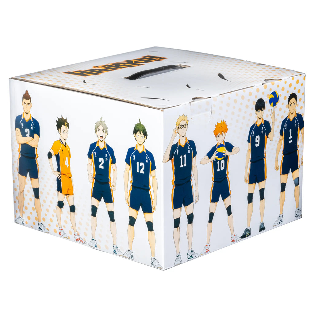 Haikyu Mystery Box