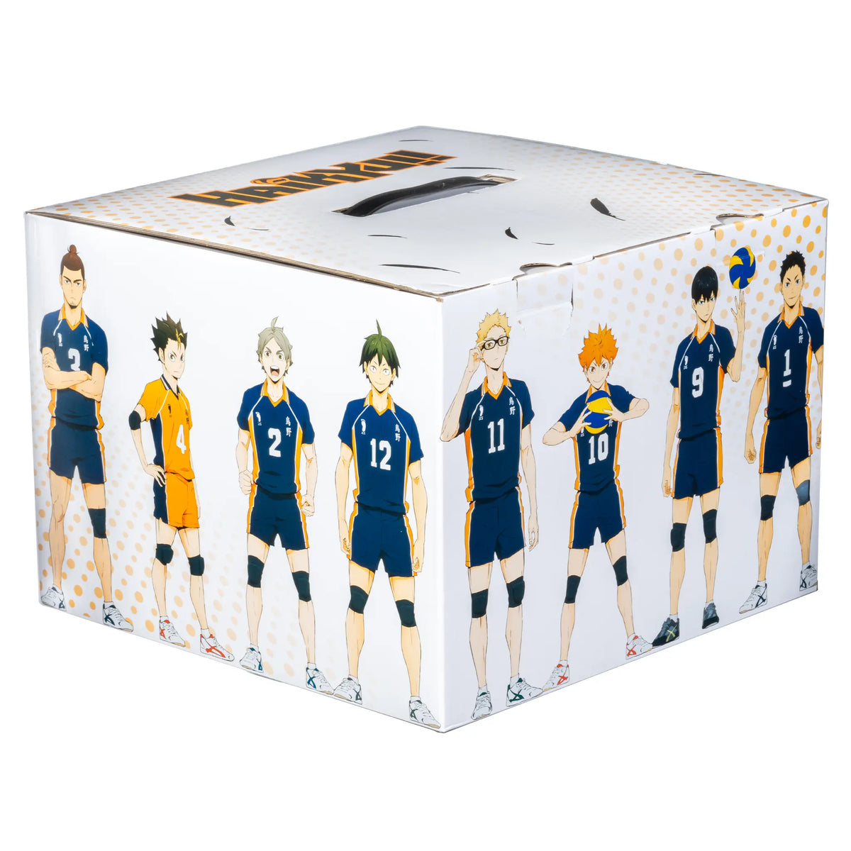 Haikyu Mystery Box