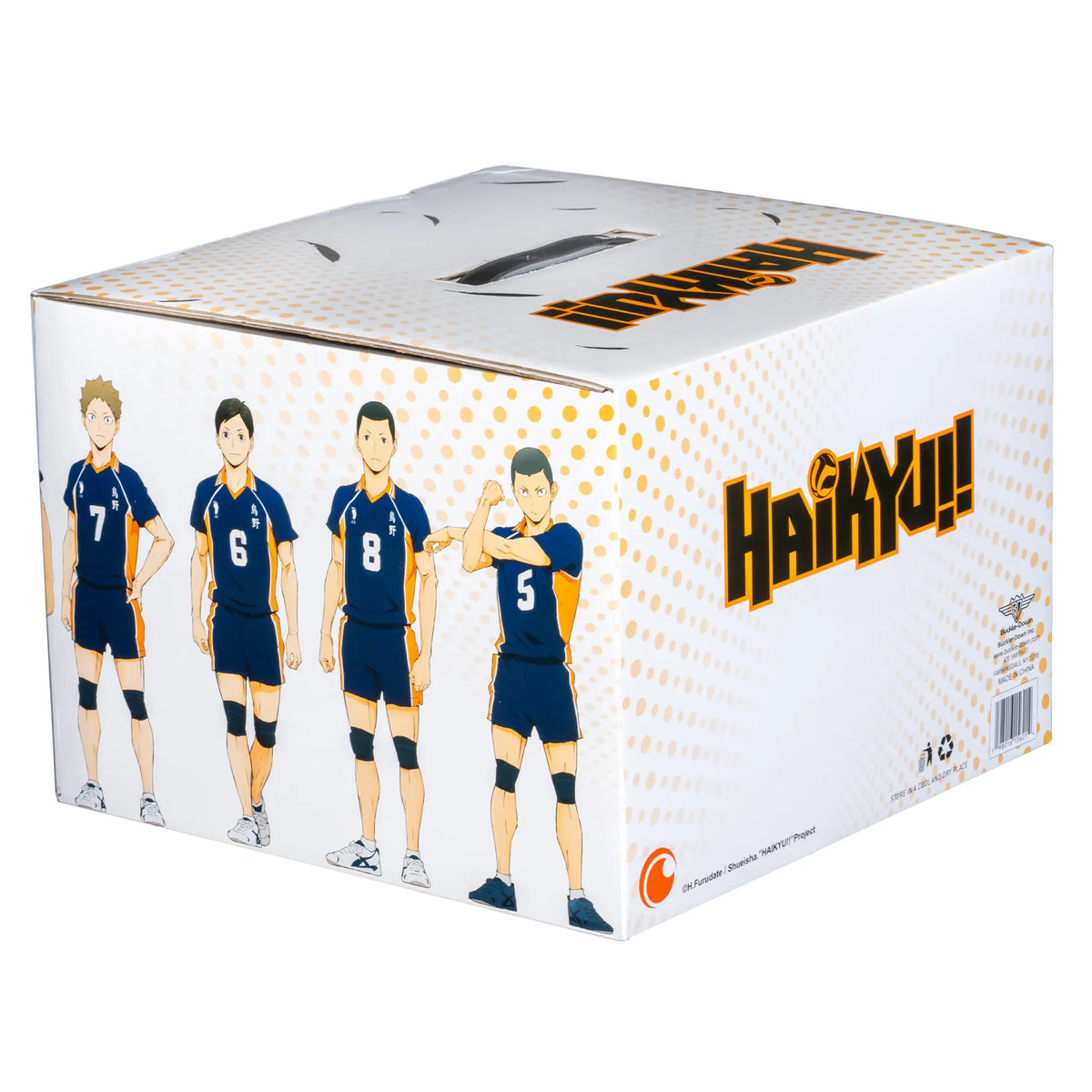 Haikyu Mystery Box