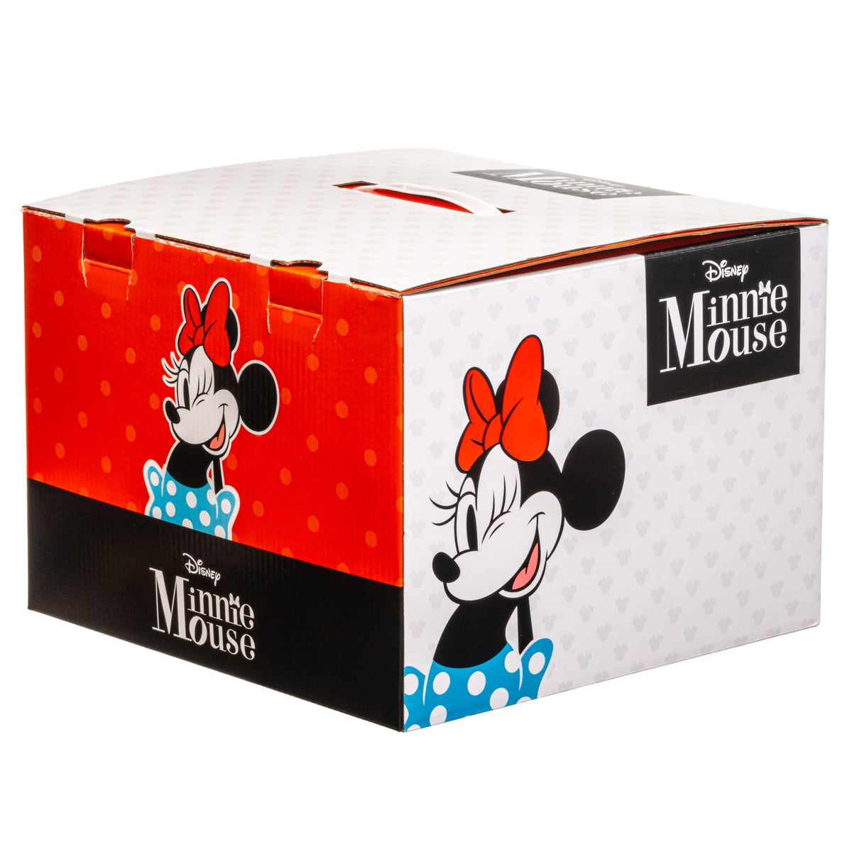 Minnie Mouse Mystery Box