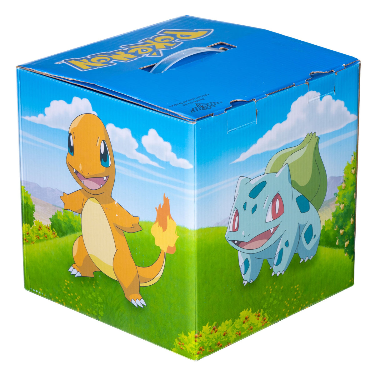 Pokemon Mystery Box