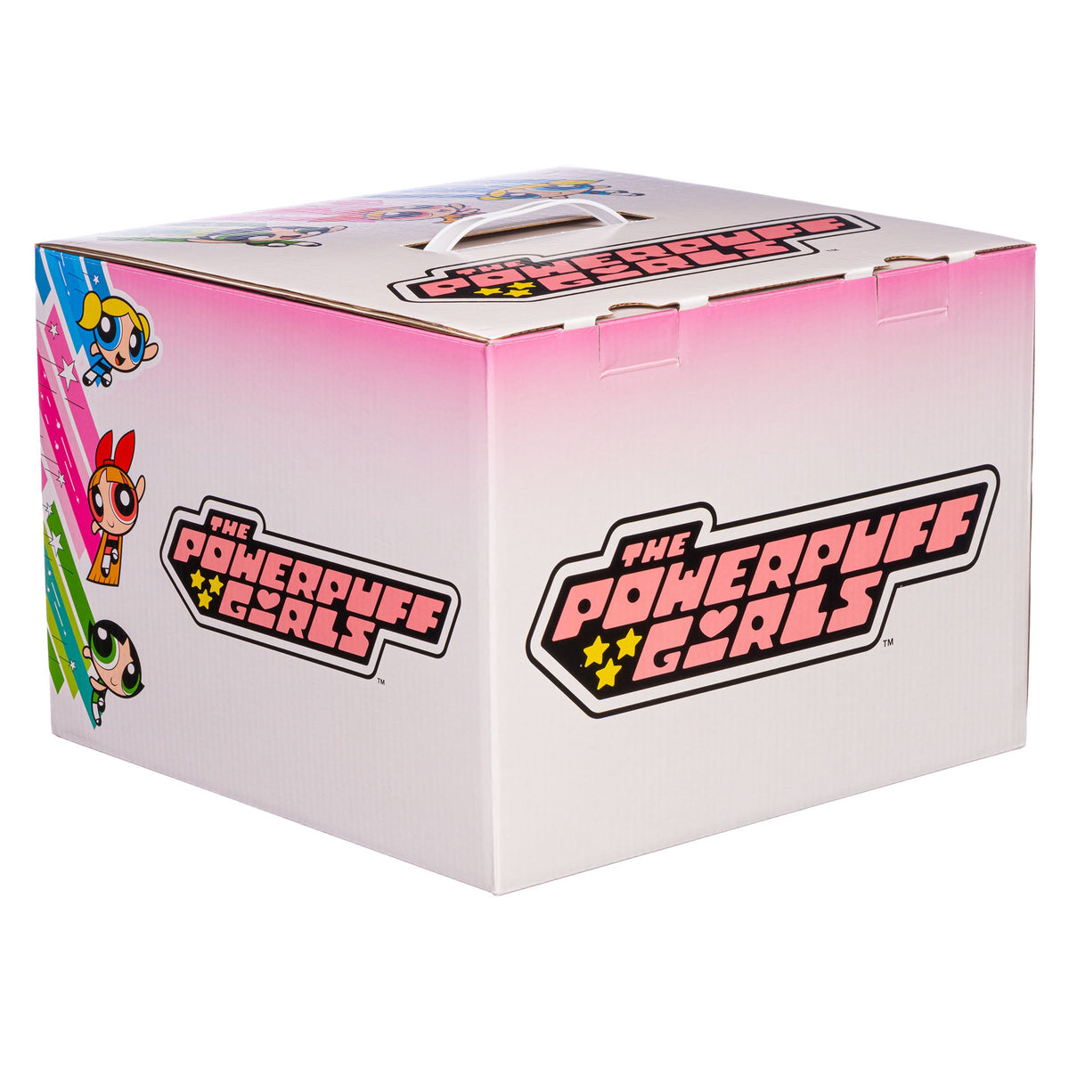 Powerpuff Girls Mystery Box