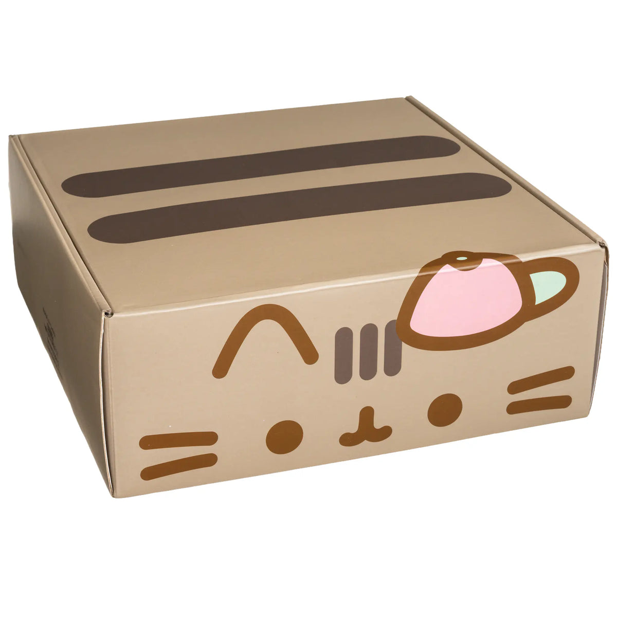 Pusheen Cap Mystery Box