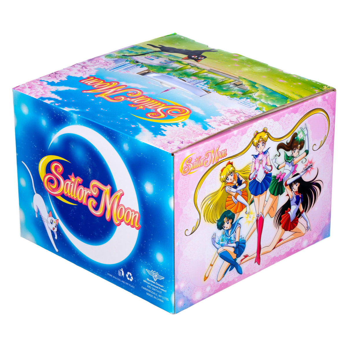 Sailor Moon Mystery Box