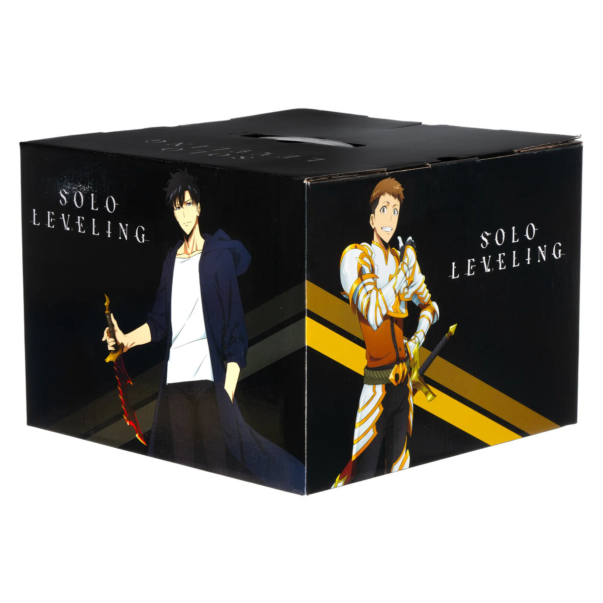 Solo Leveling Mystery Box