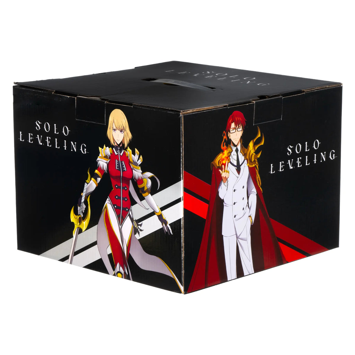 Solo Leveling Mystery Box