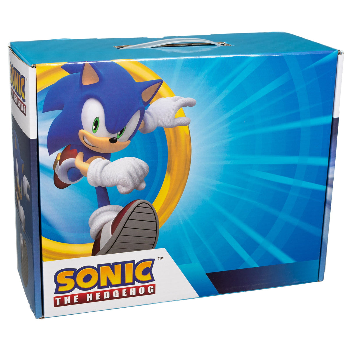 Sonic the Hedgehog Mystery Box
