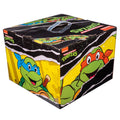 Teenage Mutant Ninja Turtles Mystery Box