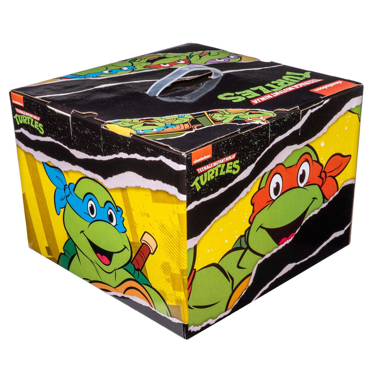 Teenage Mutant Ninja Turtles Mystery Box