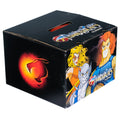 Thundercats Mystery Box