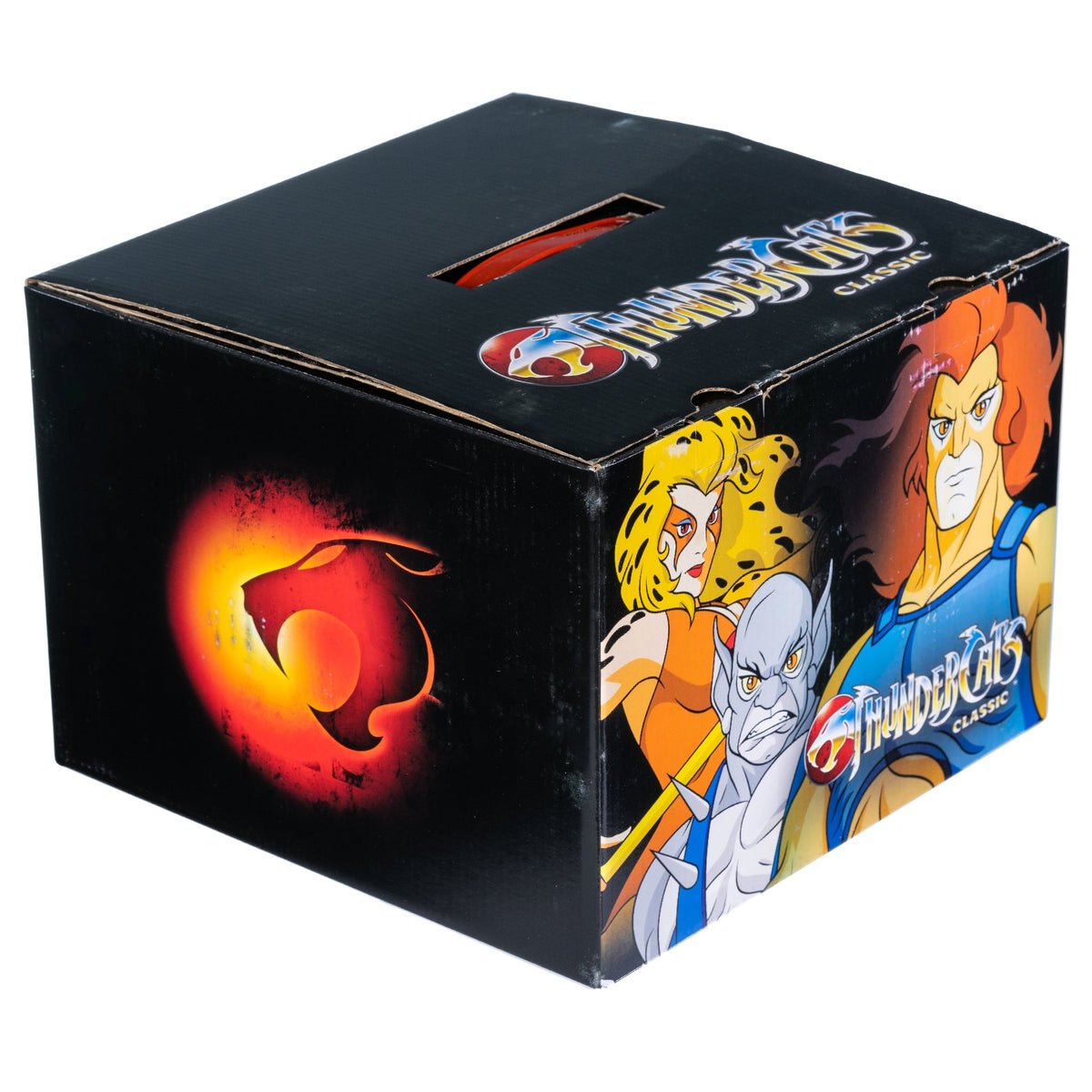 Thundercats Mystery Box