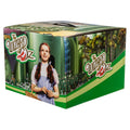 Wizard of Oz Mystery Box