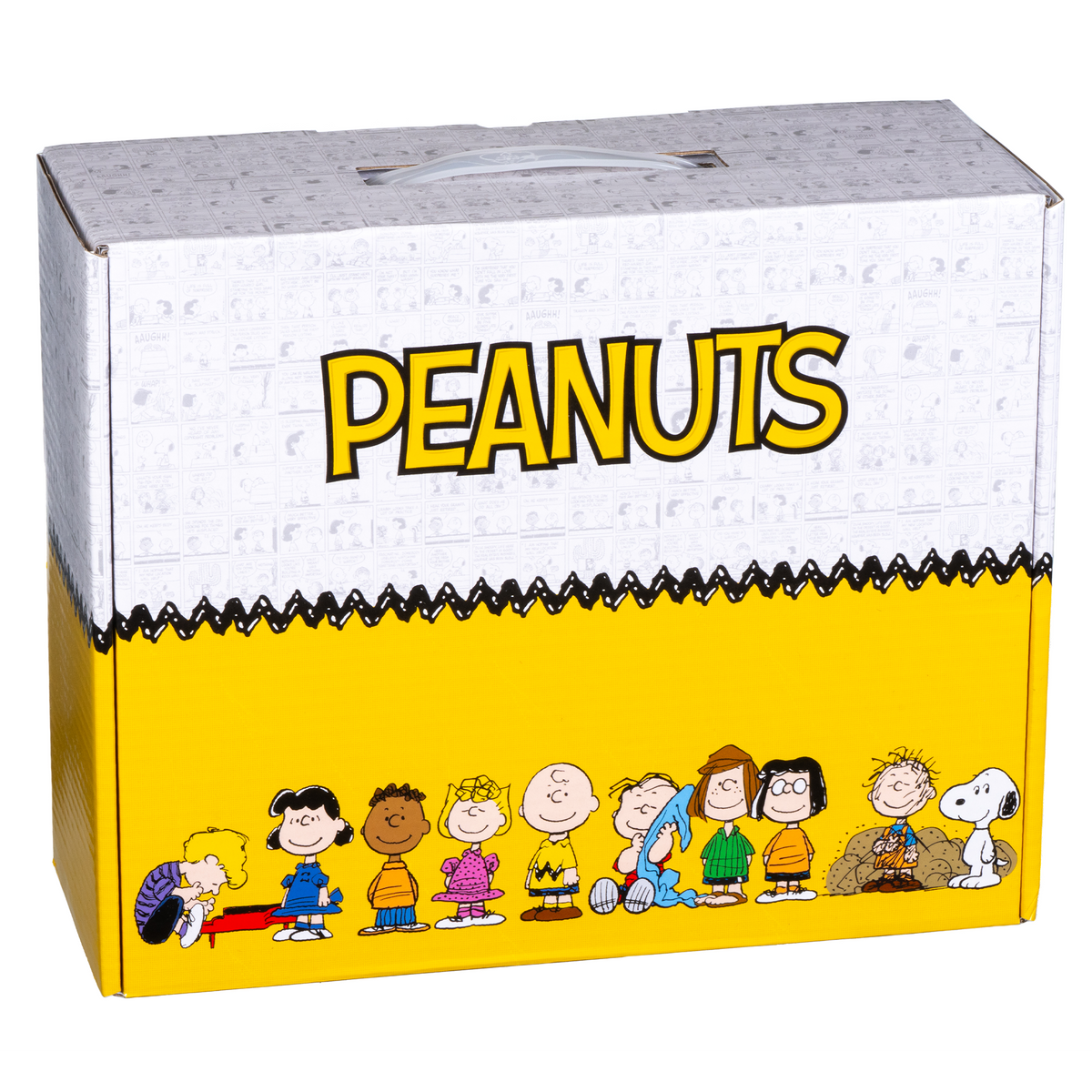 Peanuts Mystery Box
